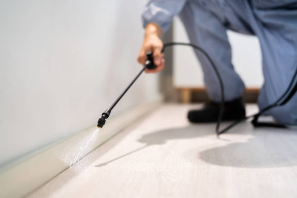Professional exterminator conducting IPM assessment in Anthony