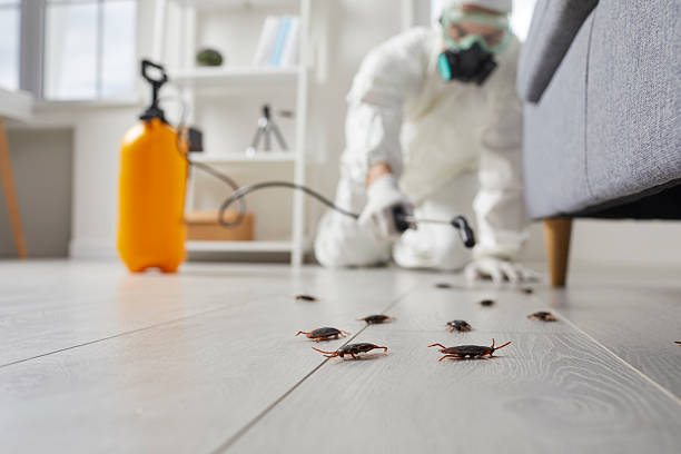 Commercial Kitchen Cockroach Control in Anthony